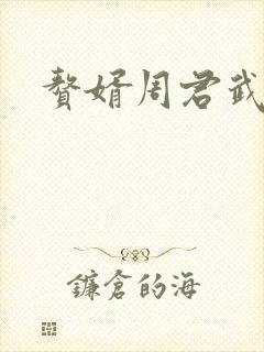 赘婿周君武结局