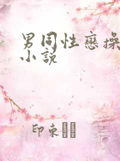 男同性恋操屁股小说