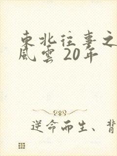 东北往事之黑道风云 20年