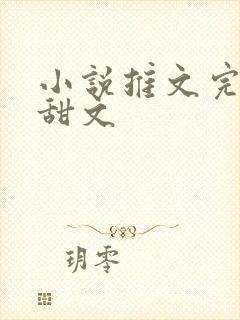 小说推文完结文甜文