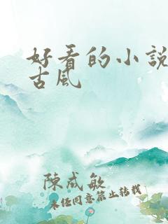 好看的小说封面古风