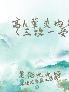 高h荤爽肉欲文〈三攻一受〉