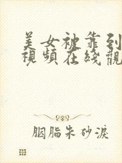 美女被靠到爽的视频在线观看