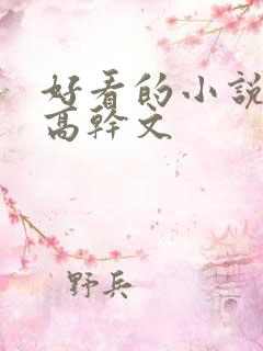 好看的小说推荐高干文