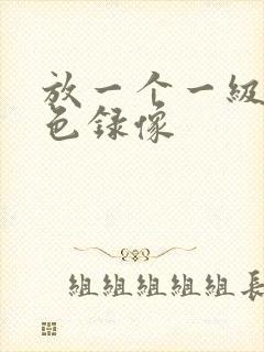 放一个一级的黄色录像