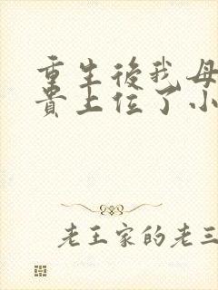 重生后我母凭子贵上位了小说下载txt