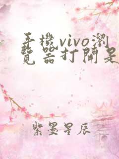 手机vivo浏览器打开是别的浏览器