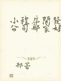 小程序开发专业公司哪家好