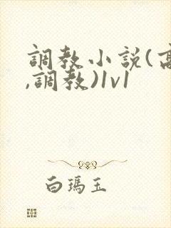 调教小说(高h,调教)1v1