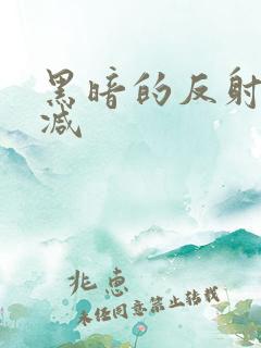 黑暗的反射未删减