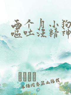 两个月小狗拉稀呕吐没精神怎么办