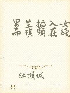 男生插入女生下面视频在线免费观看