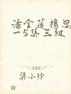 潘金莲杨思敏1一5集三级