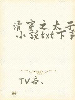清穿之太子娇妃 小说txt下载