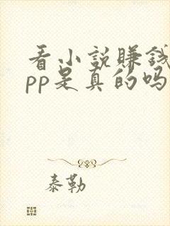 看小说赚钱的app是真的吗