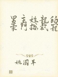 男主姓龙的小说豪门总裁宠文