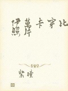 伊万卡穿比基尼照片