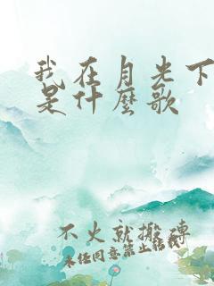 我在月光下等你是什么歌