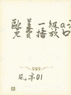 欧美一级a淫片免费播放口