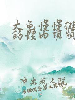 大龟慢慢挺进我的体内视频