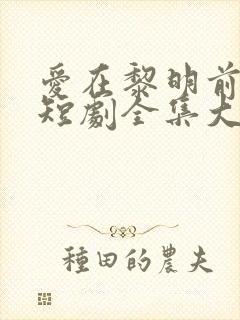 爱在黎明前升起短剧全集大结局