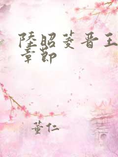 陆昭菱晋王最新章节