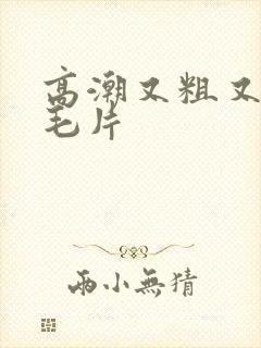 高潮又粗又爽的毛片