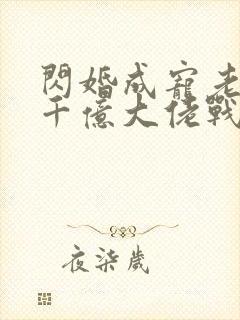 闪婚成宠老公是千亿大佬战胤海