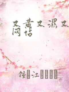 又黄又湿又污的网站