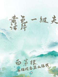 黄色一级夫妻生活片