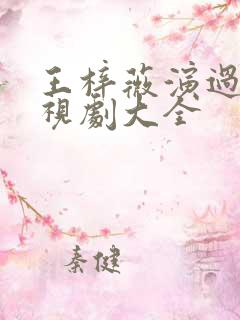 王梓薇演过的电视剧大全