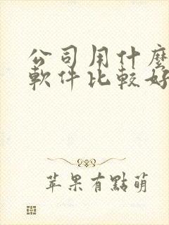 公司用什么财务软件比较好