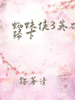 蜘蛛侠3英雄无归下