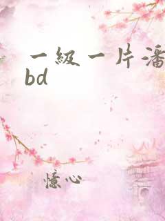 一级一片潘金莲bd