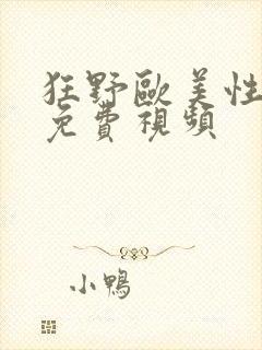 狂野欧美性猛交免费视频