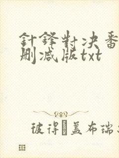 针锋对决番外未删减版txt