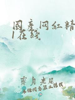 国产网红精品91在线