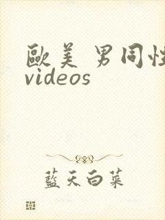 欧美 男同性 videos