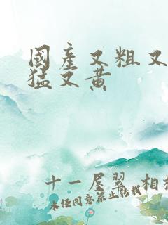 国产又粗又爽又猛又黄