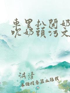 车里扒开奶罩揉吮奶头污文