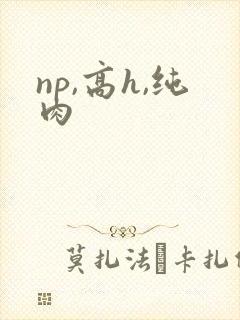 np,高h,纯肉