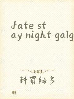 fate stay night galgame