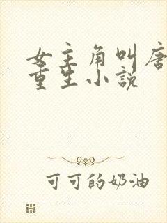 女主角叫唐晚的重生小说