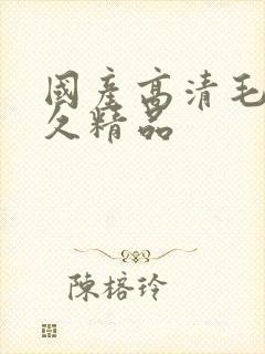 国产高清毛片久久精品