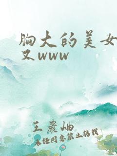 胸大的美女又黄又www