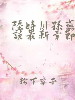 陆时川孙燕燕小说最新章节阅读免费