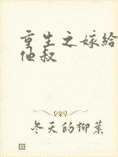 重生之嫁给男主他叔