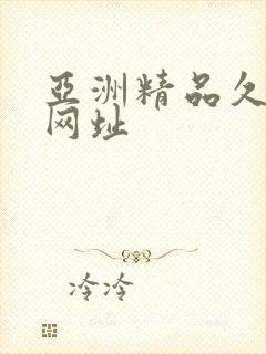 亚洲精品久久久网址