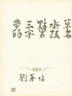 带三点水草字头的字男孩名字