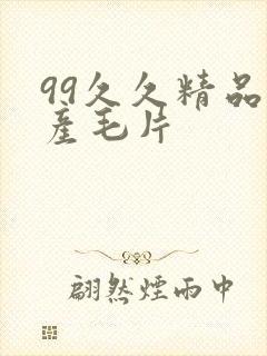 99久久精品国产毛片